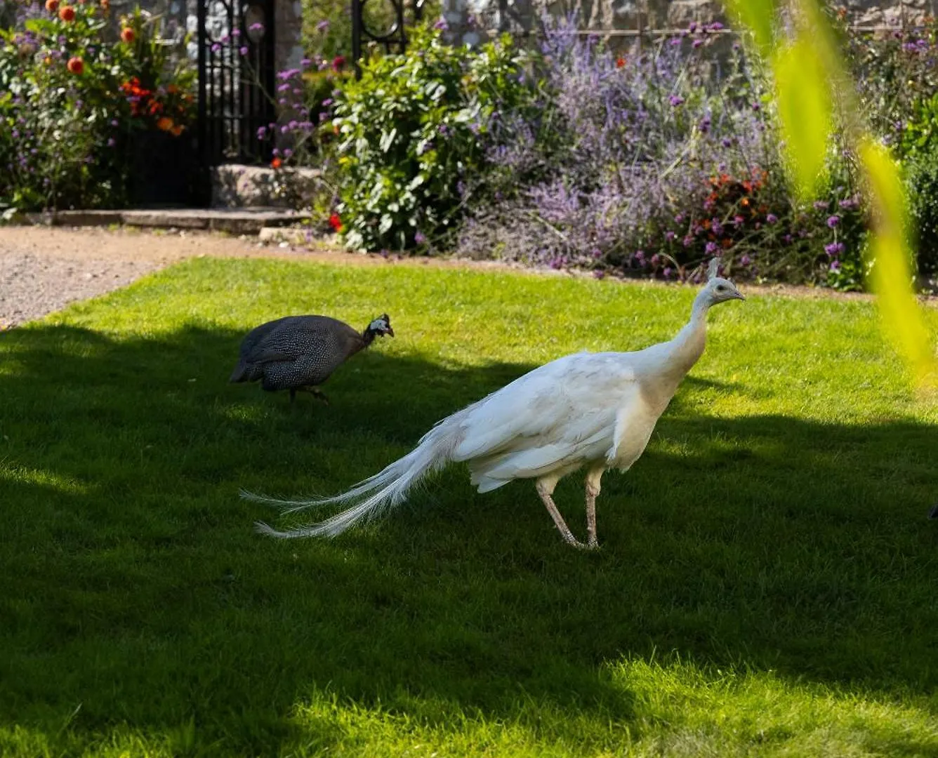 Gileston Manor Luxury B&B Barry United Kingdom